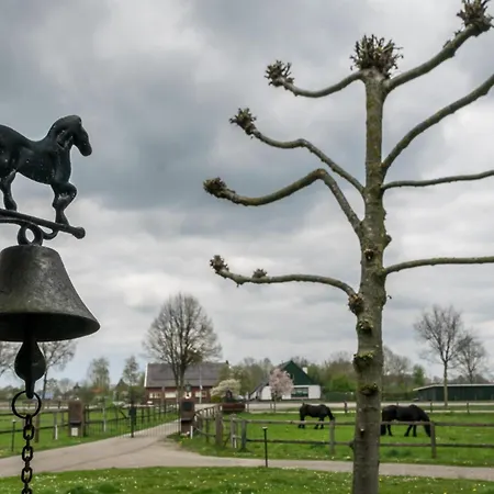 Recreatieoord Hippique Vakantiehuis Westendorp