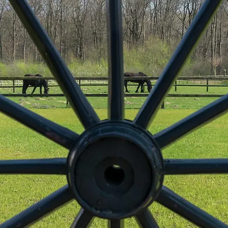 Recreatieoord Hippique Westendorp