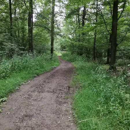 Recreatieoord Hippique