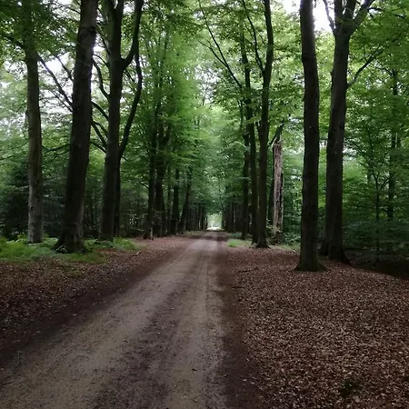 Recreatieoord Hippique Vakantiehuis Westendorp