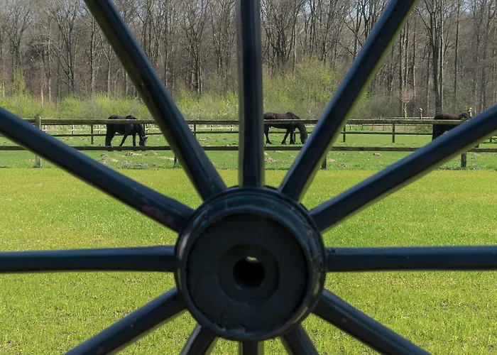 Recreatieoord Hippique Westendorp