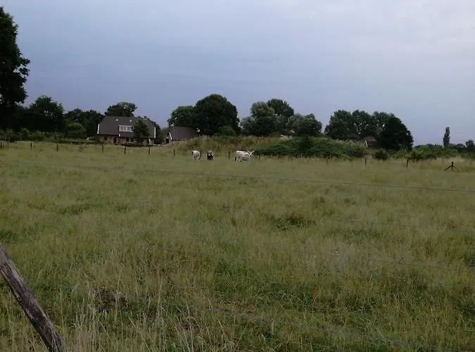 Recreatieoord Hippique Dom wakacyjny Westendorp