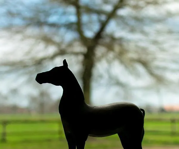 Dom wakacyjny Recreatieoord Hippique Westendorp