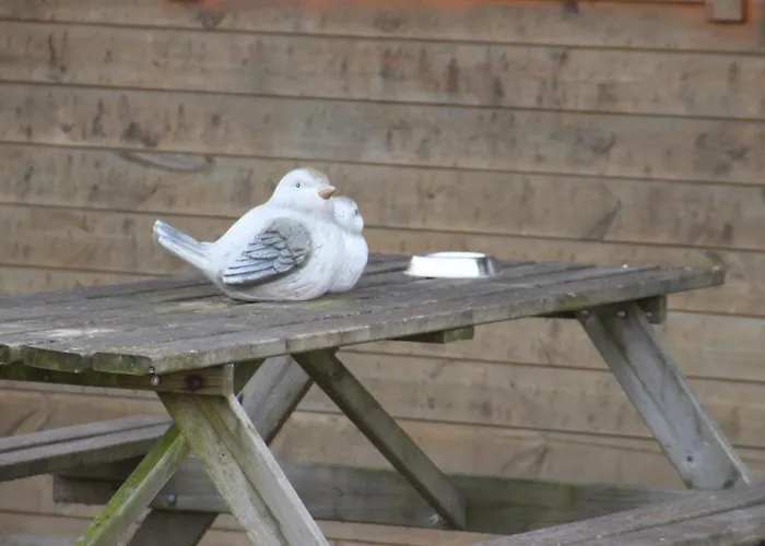 Recreatieoord Hippique