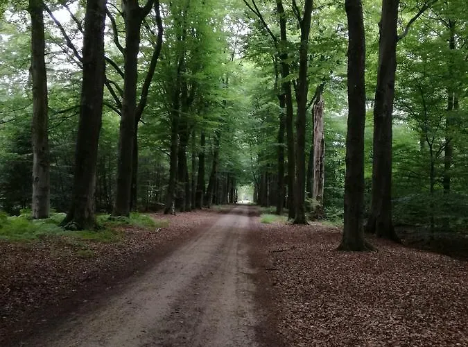 Recreatieoord Hippique Сasa de vacaciones Westendorp