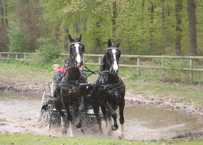 Recreatieoord Hippique Сasa de vacaciones